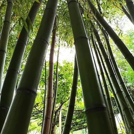 A Vina De Lina. Con Piscina Y Finca. ポンテベドラ