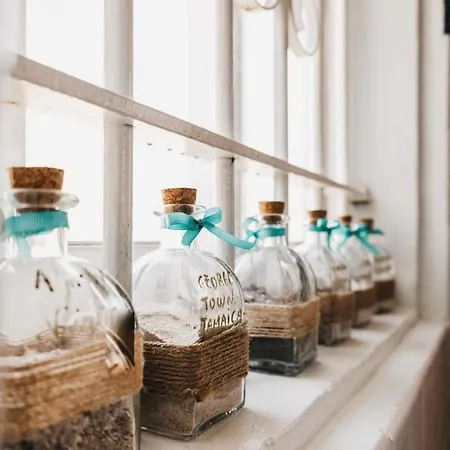 A Vina De Lina. Con Piscina Y Finca. 別荘 *